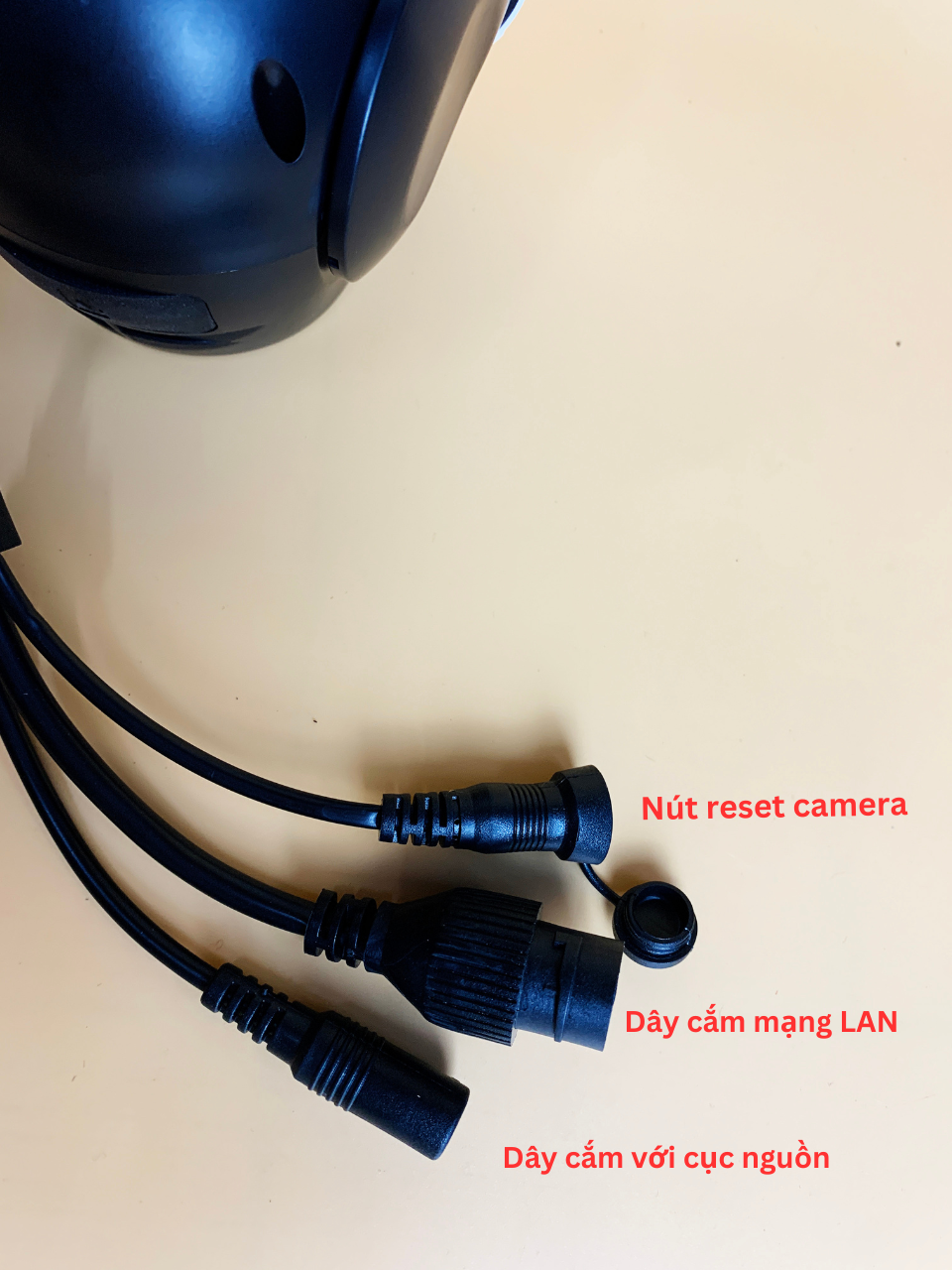 Cổng kết nối camera Q22S: LAN, nguồn, reset